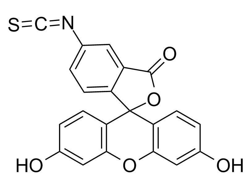 荧光素5(6)-异硫氰酸酯